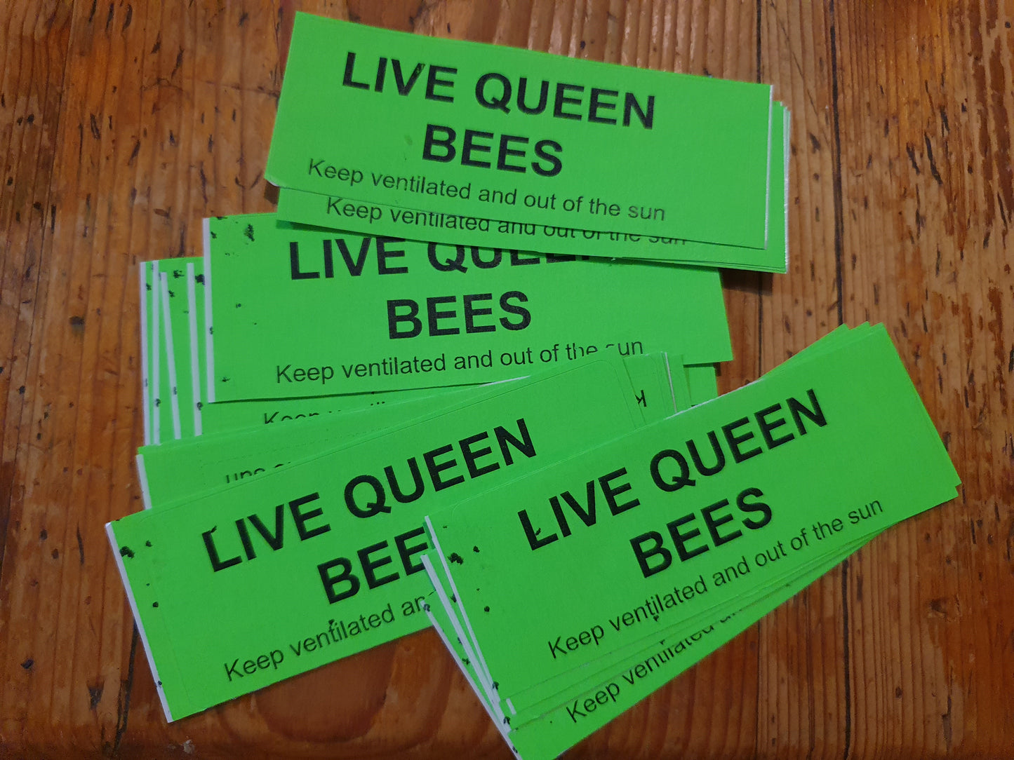 Queen Bee Shipping Stickers